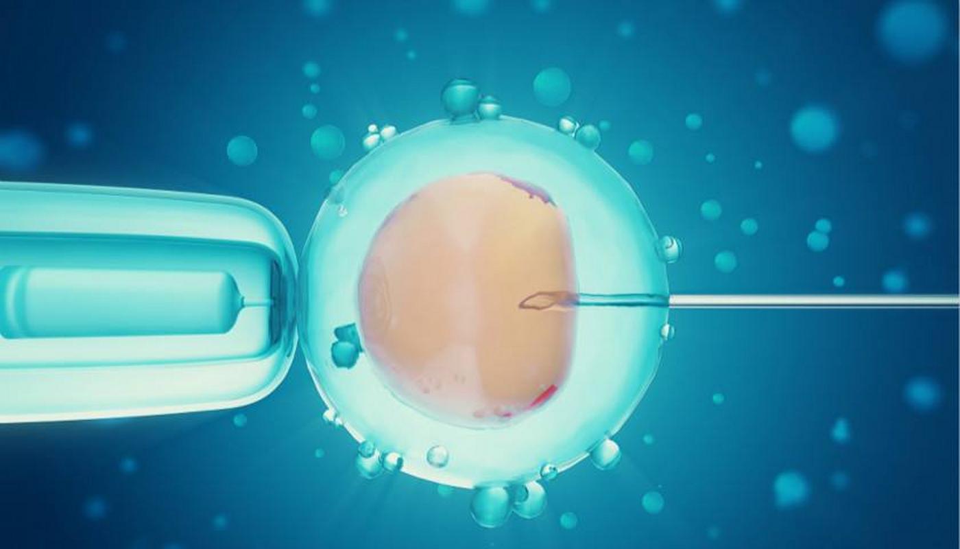 帮别人试管代怀违法吗_帮别人试管代怀违法吗？调查揭秘代孕风险