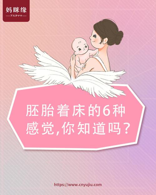 处女能试管代怀吗(处女能试管代怀吗？解密处女试管代孕的可能性)